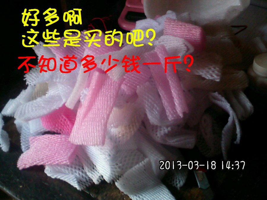 2013502.jpg