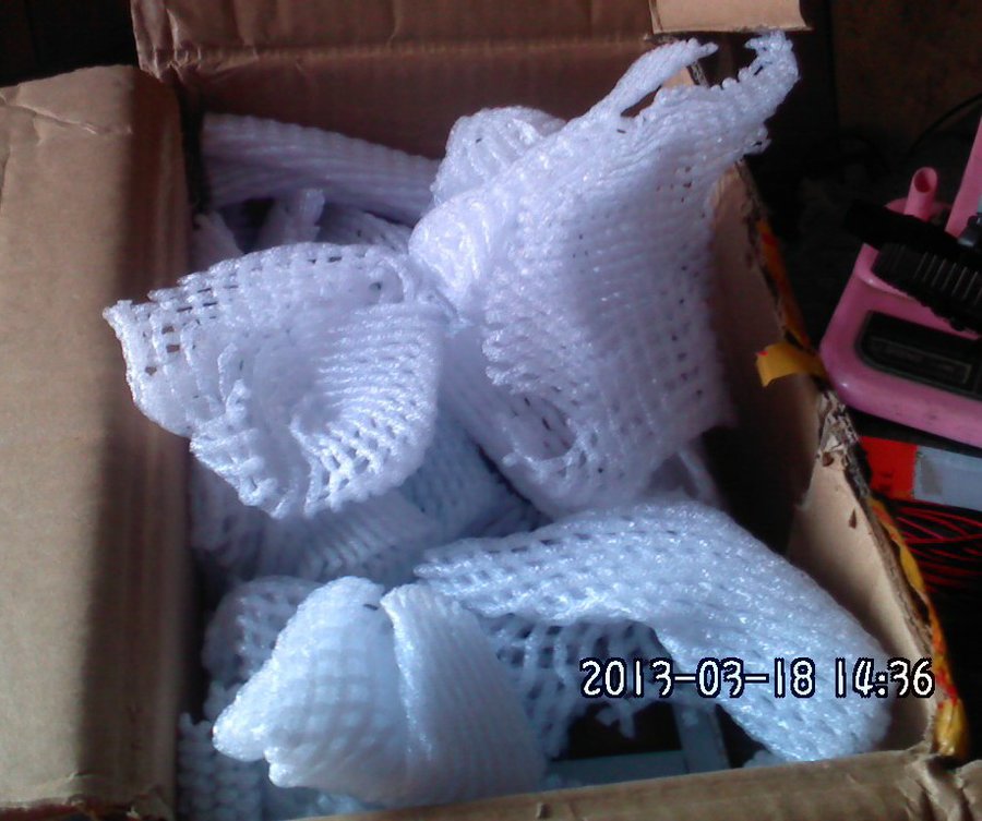 2013501.jpg
