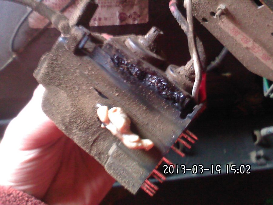 2013602.jpg