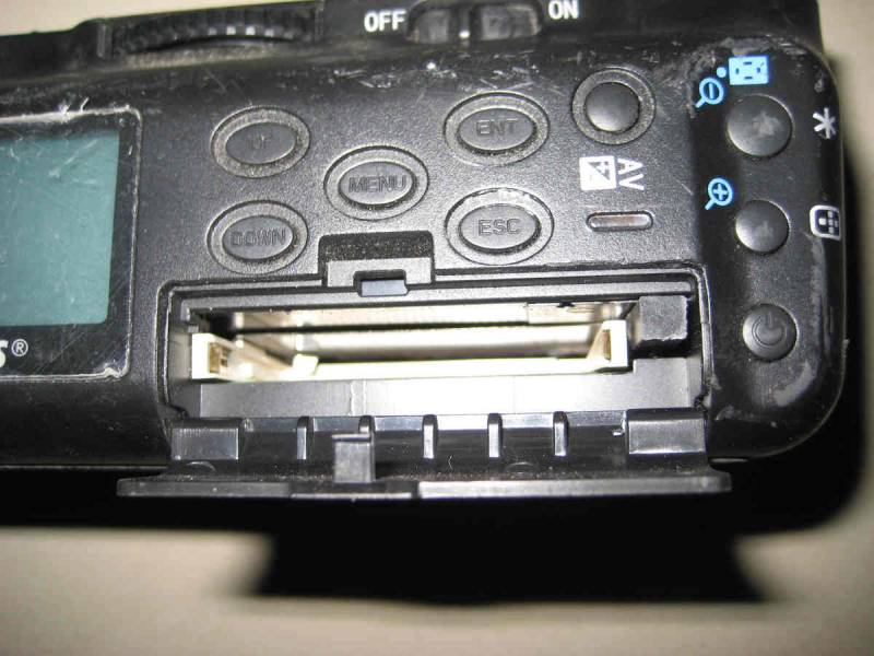 IMG_0801_nEO_IMG.jpg