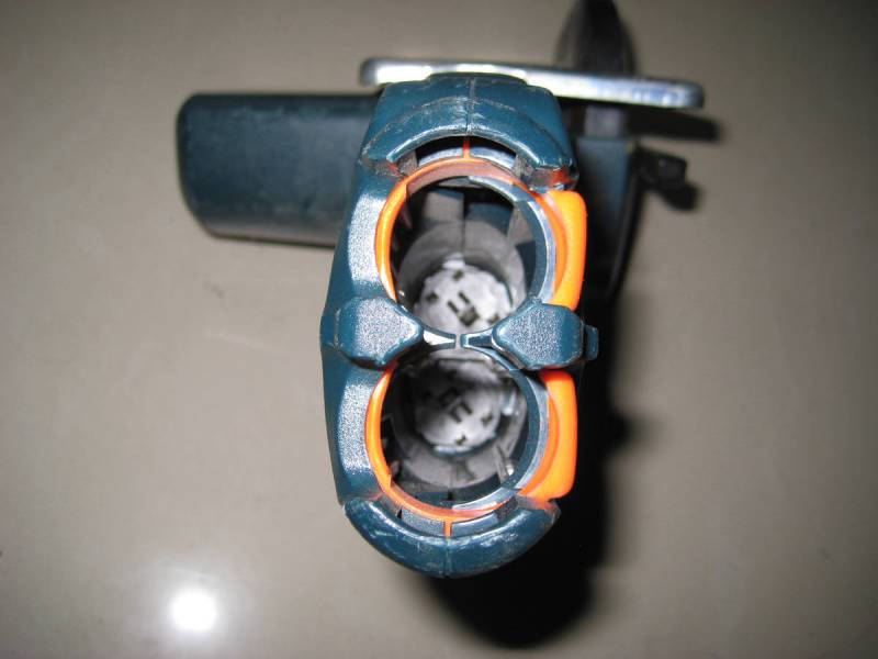 IMG_0063_nEO_IMG.jpg