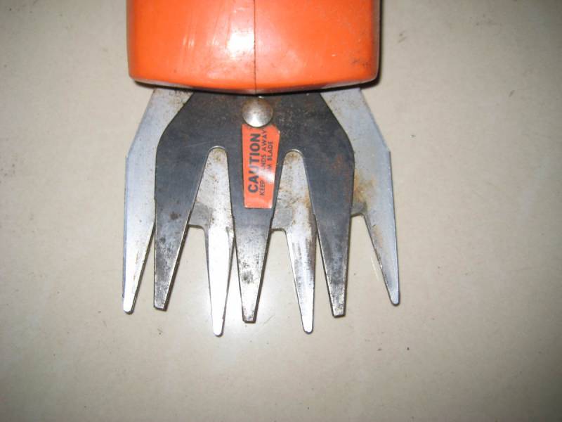 IMG_0068_nEO_IMG.jpg