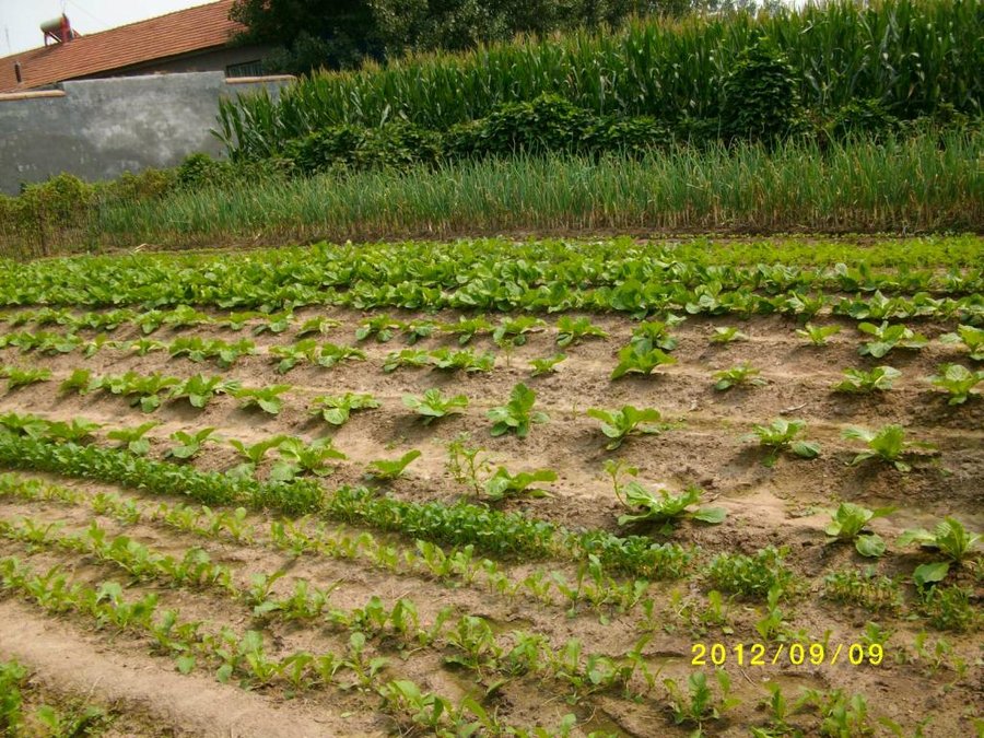 (1)SANY0042.jpg