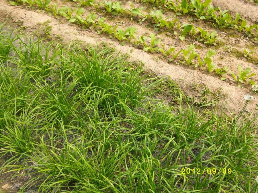 (1)SANY0043.jpg