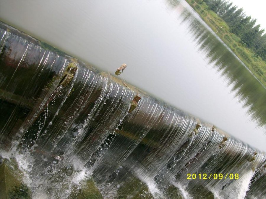 (1)SANY0020.jpg