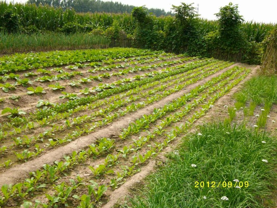 (1)SANY0045.jpg