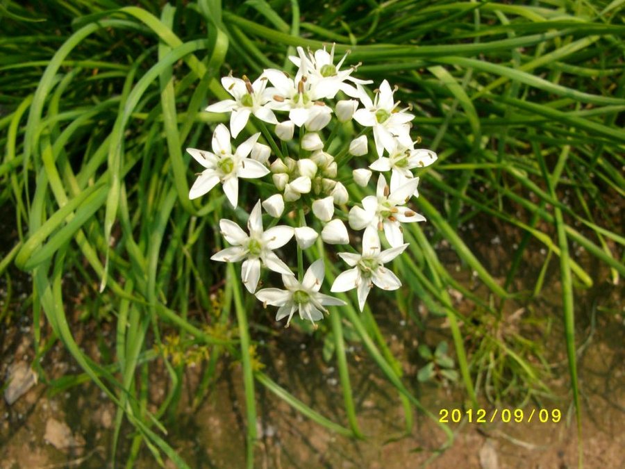 (1)SANY0044.jpg