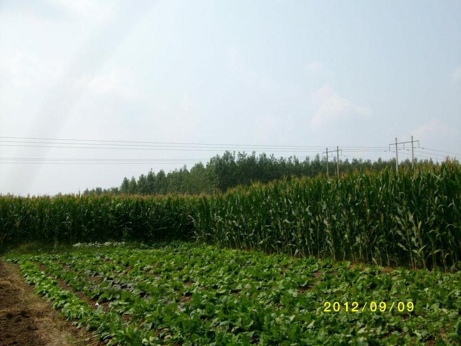 (1)SANY0047.jpg