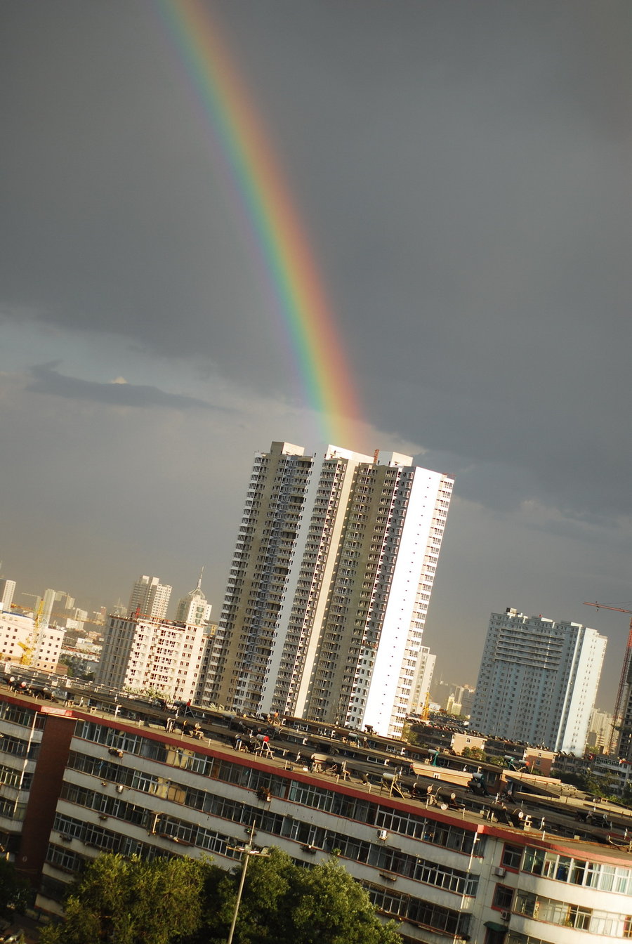 DSC_0992.jpg