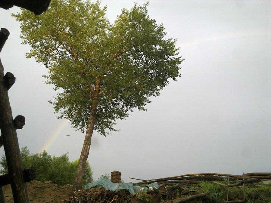 20120722053.jpg
