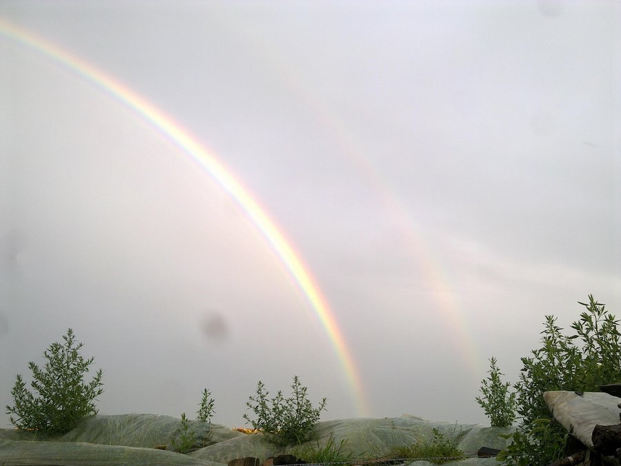 20120722054.jpg