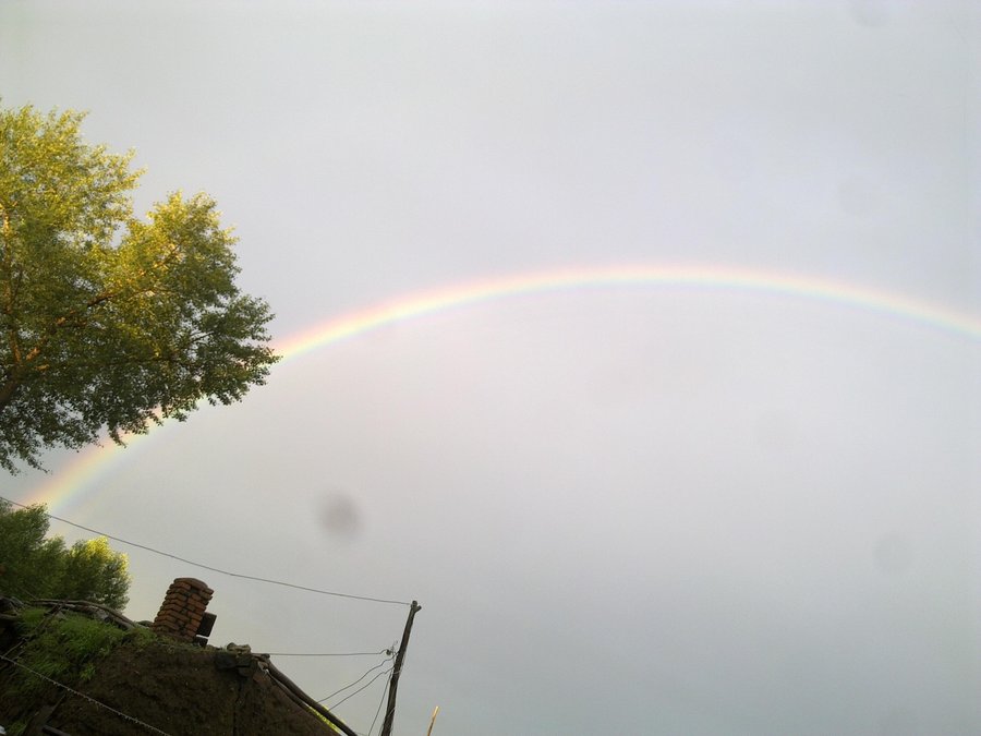 20120722056.jpg