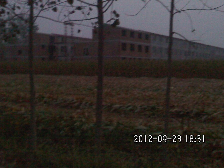 社建电子119.jpg