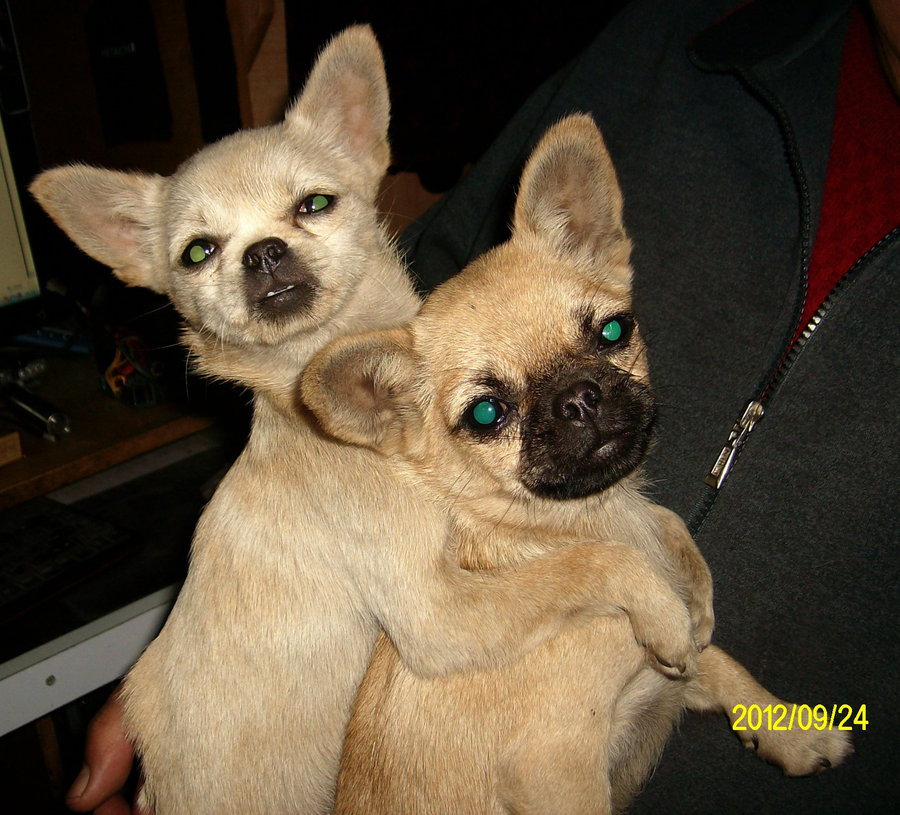 IMG05878.jpg