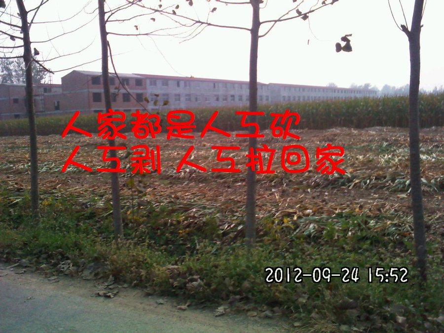 社建电子143.jpg