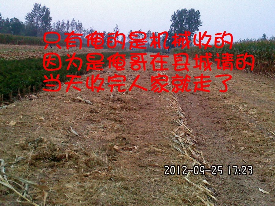 社建电子158.jpg