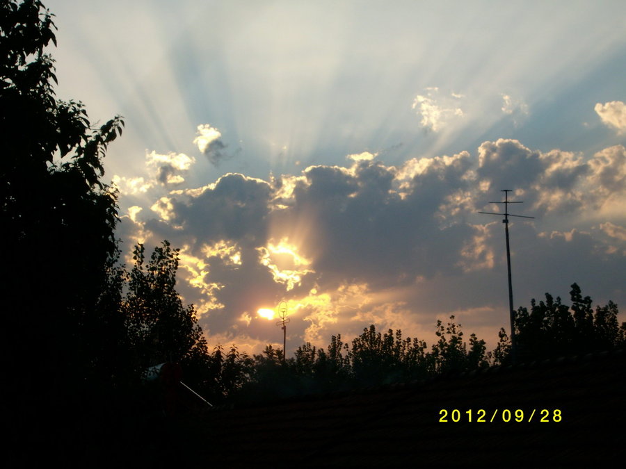SANY0094.JPG