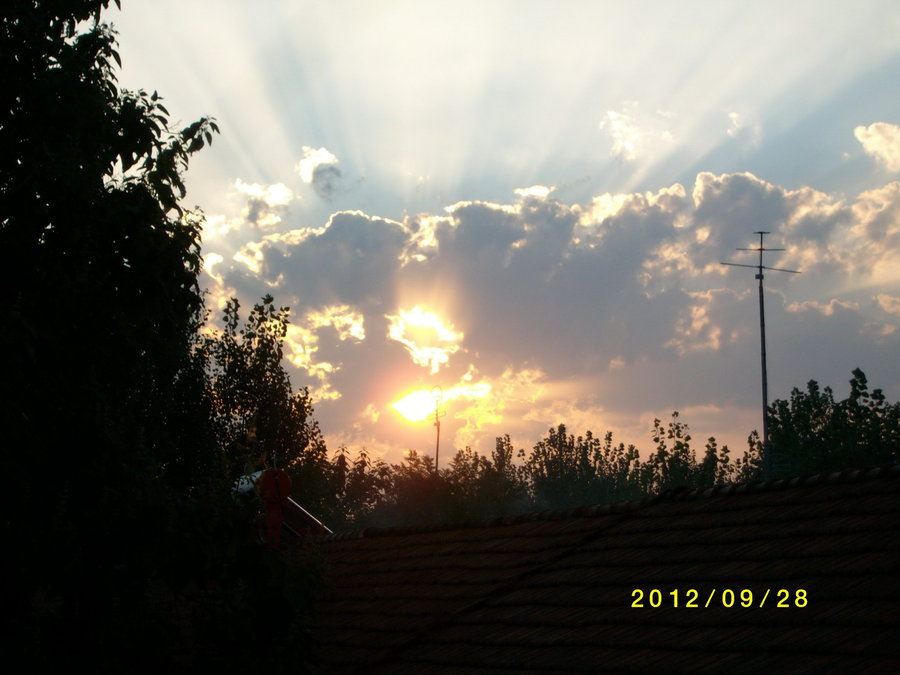 SANY0095.JPG