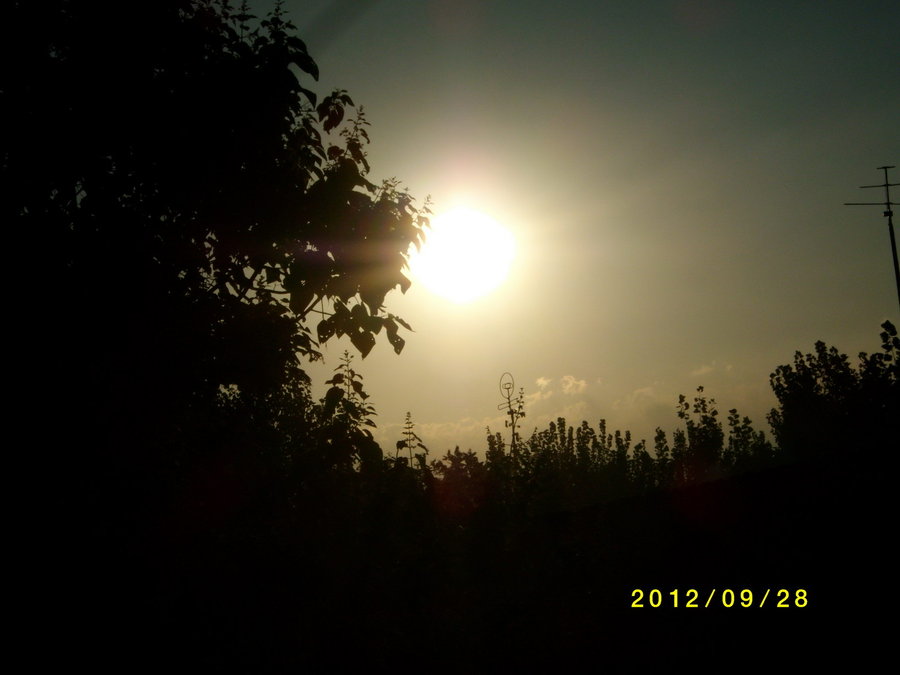 SANY0101.JPG