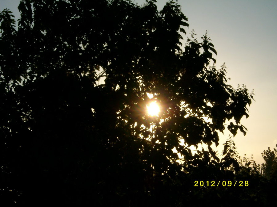 SANY0102.JPG
