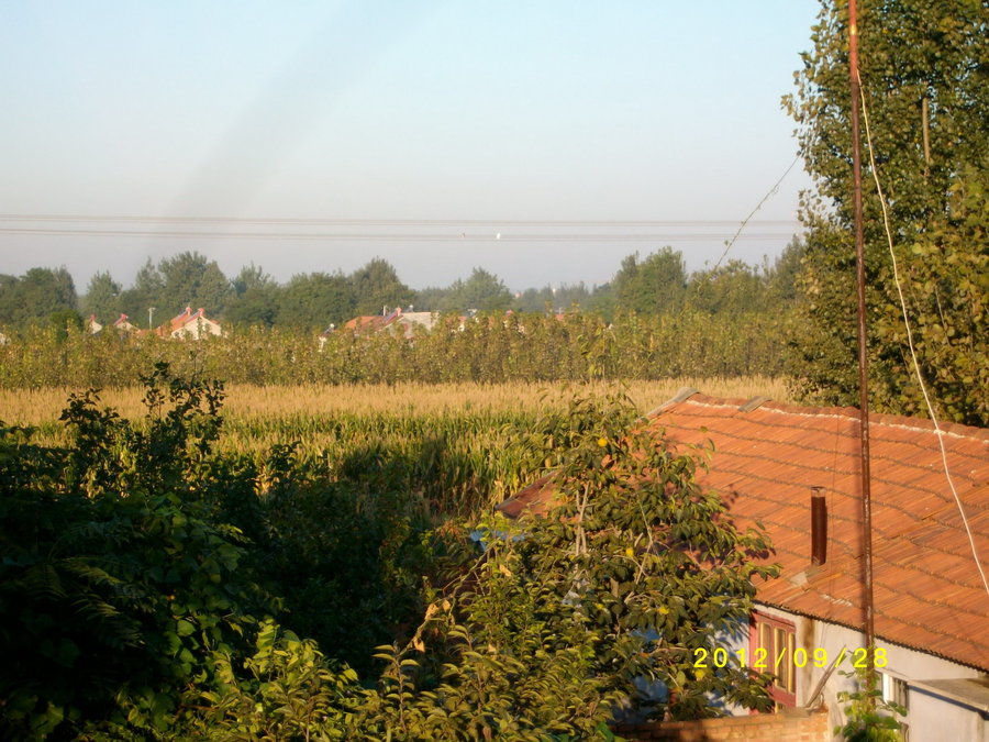 SANY0106.JPG