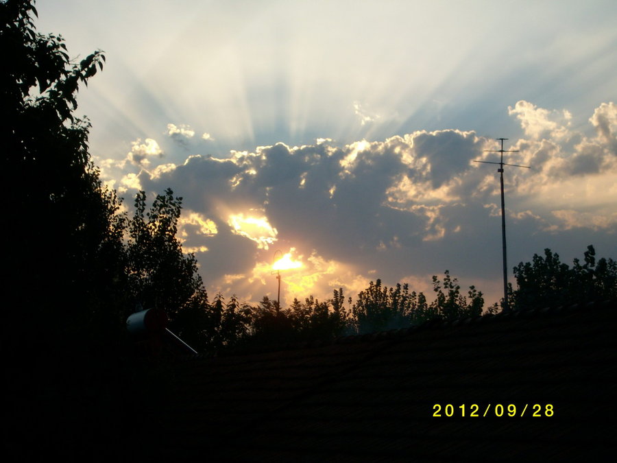 SANY0097.JPG