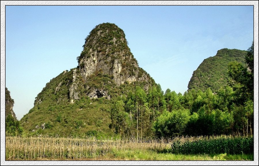 IMG_1746.jpg