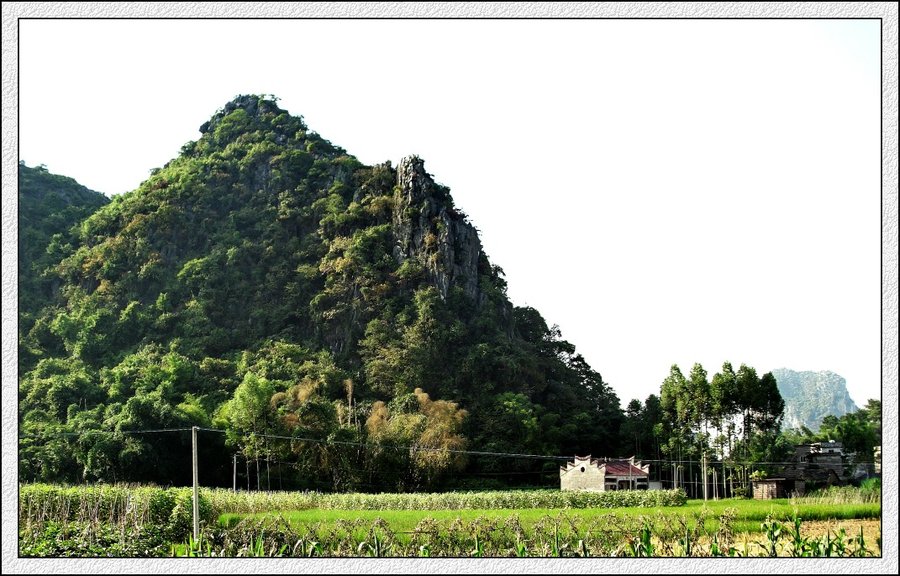 IMG_1748.jpg