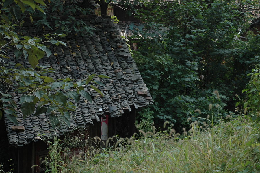 DSC_8769.JPG