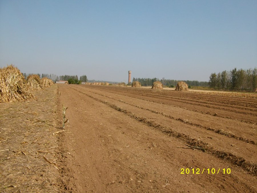 SANY0159.JPG