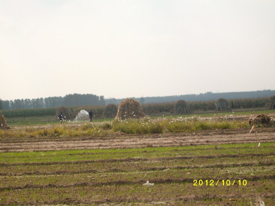 SANY0154.JPG