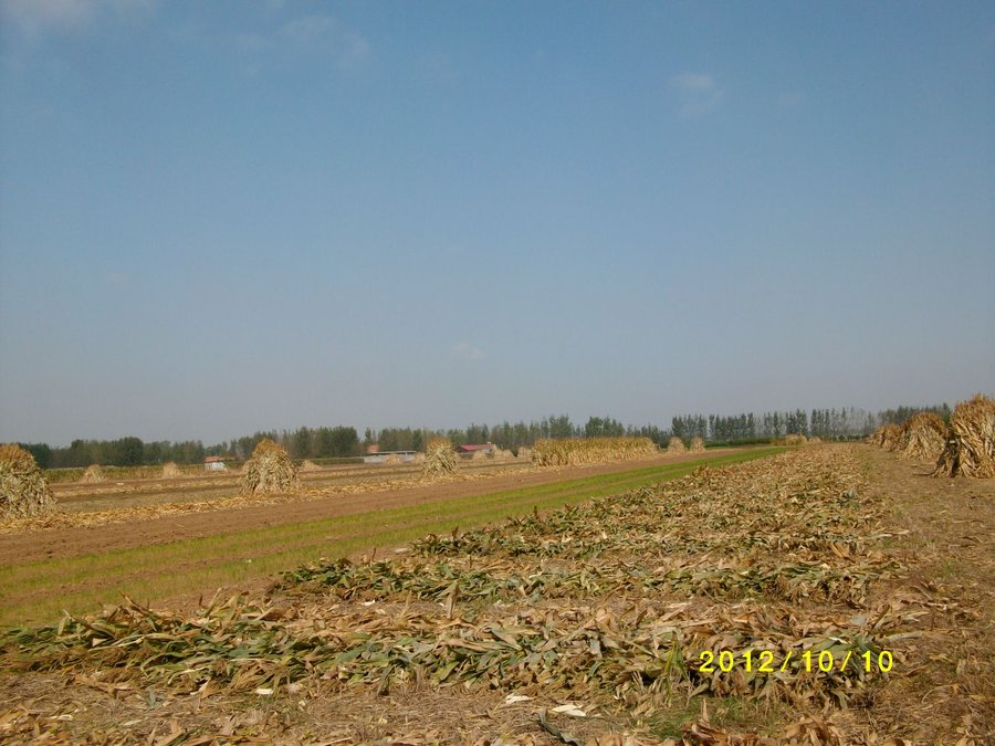 SANY0155.JPG