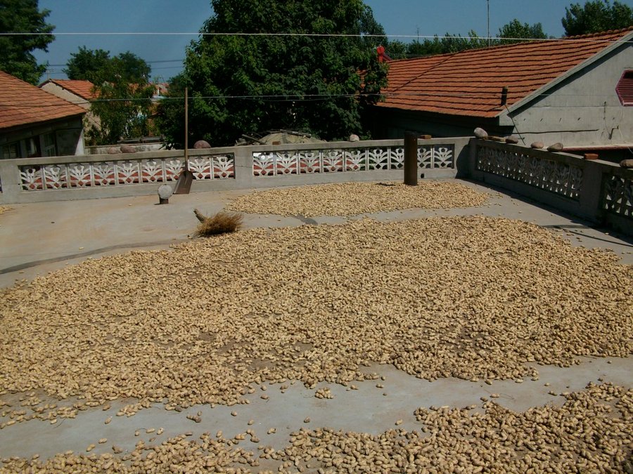 SANY0021.JPG