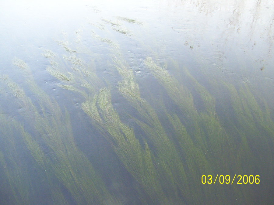 照片2012 050.jpg
