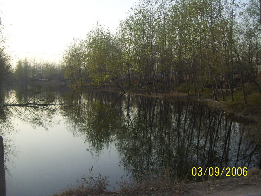 照片2012 059.jpg