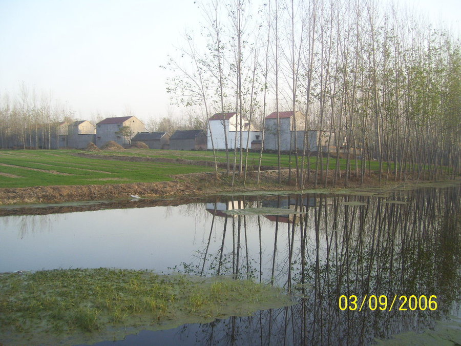 照片2012 074.jpg