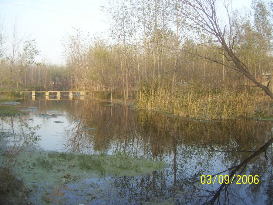 照片2012 075.jpg