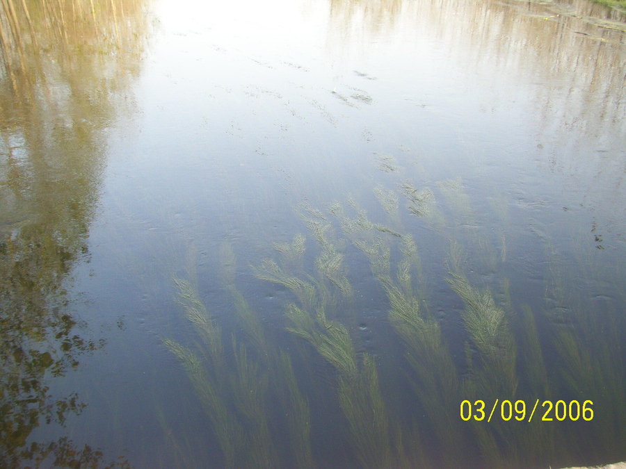 照片2012 052.jpg