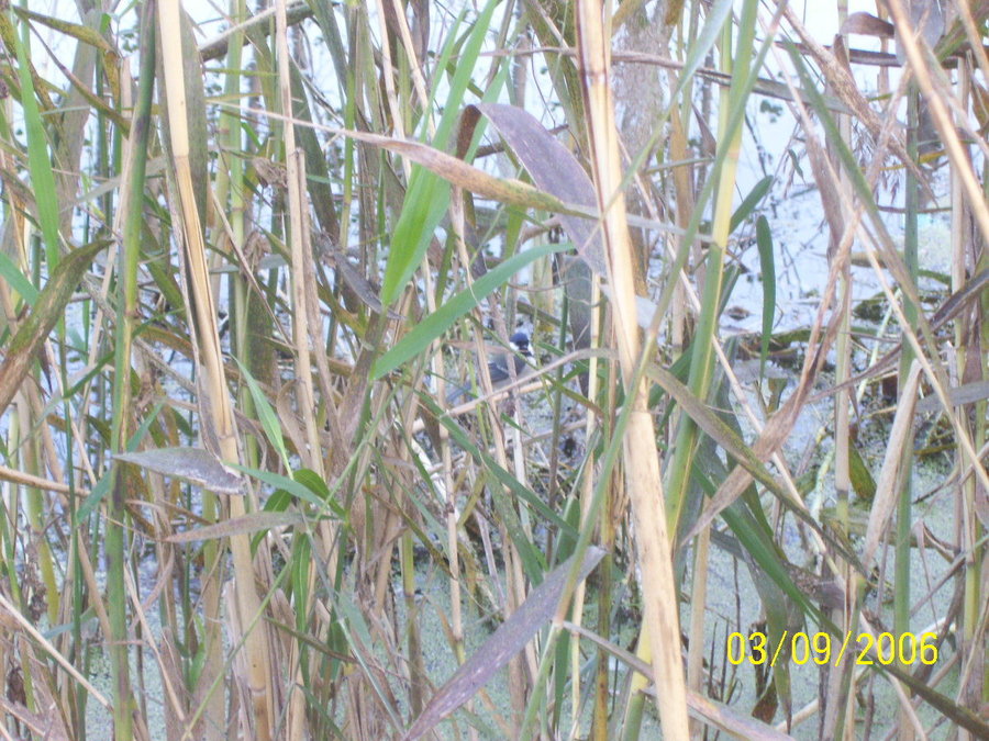 照片2012 082.jpg