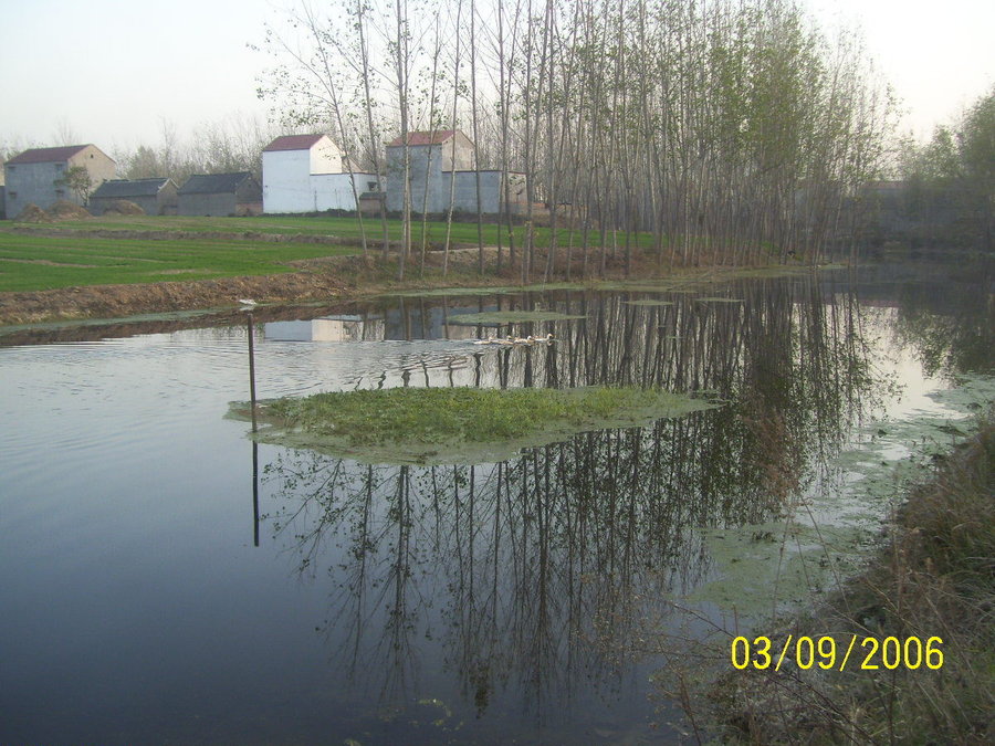 照片2012 086.jpg