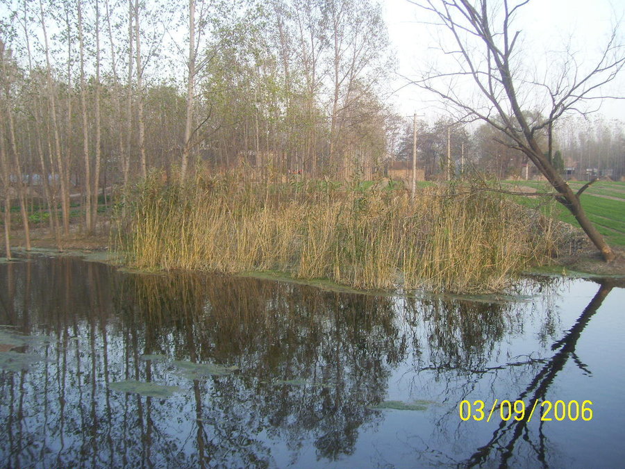照片2012 088.jpg