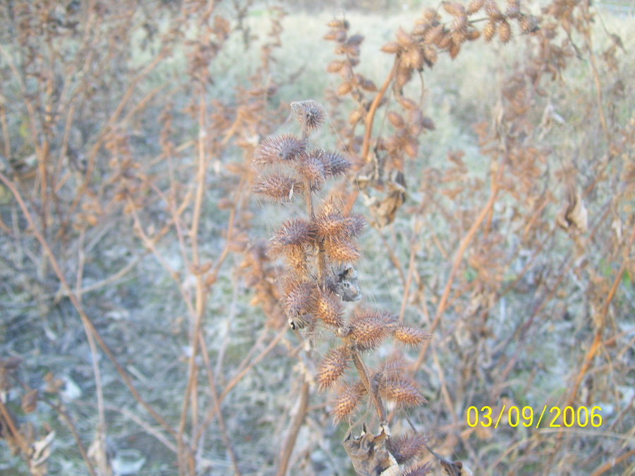 照片2012 094.jpg