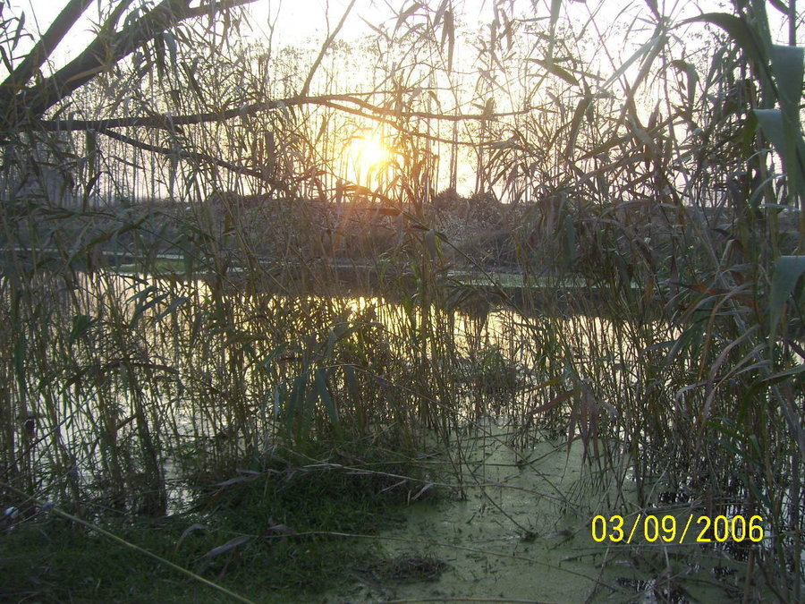 照片2012 097.jpg