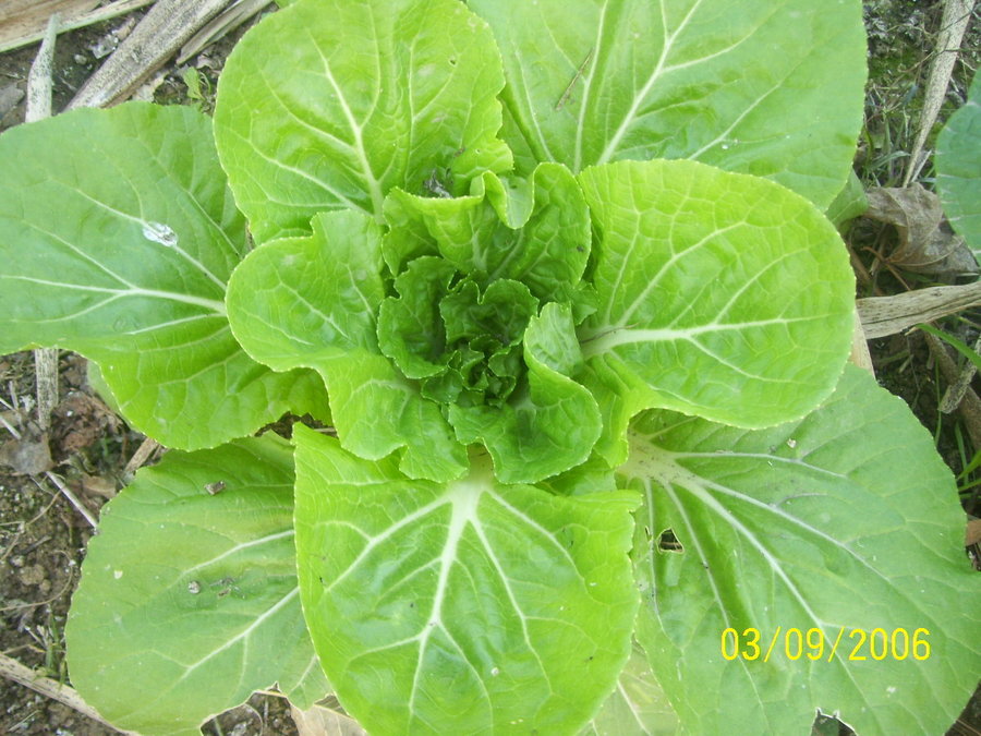 照片2012 100.jpg