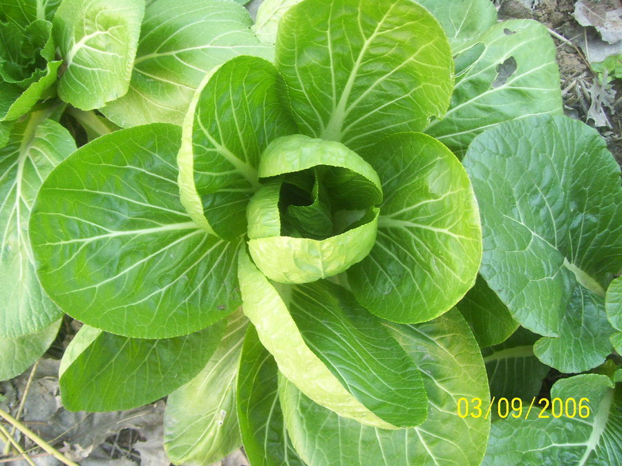 照片2012 101.jpg
