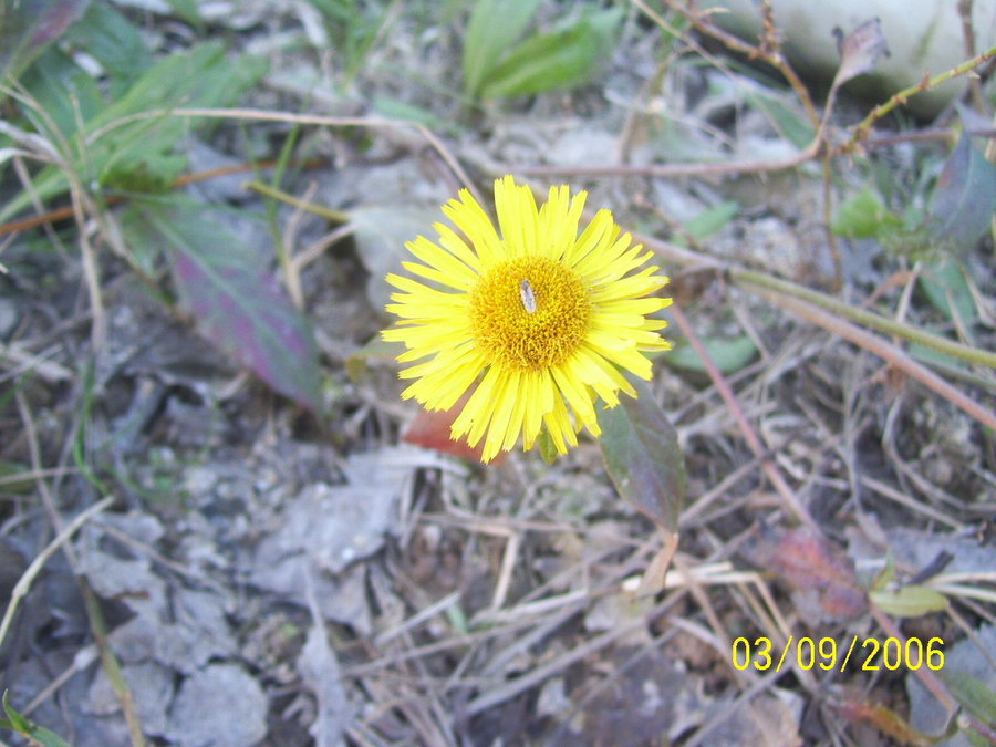 照片2012 104.jpg
