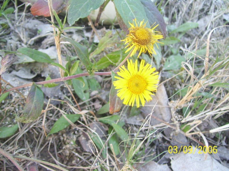 照片2012 105.jpg