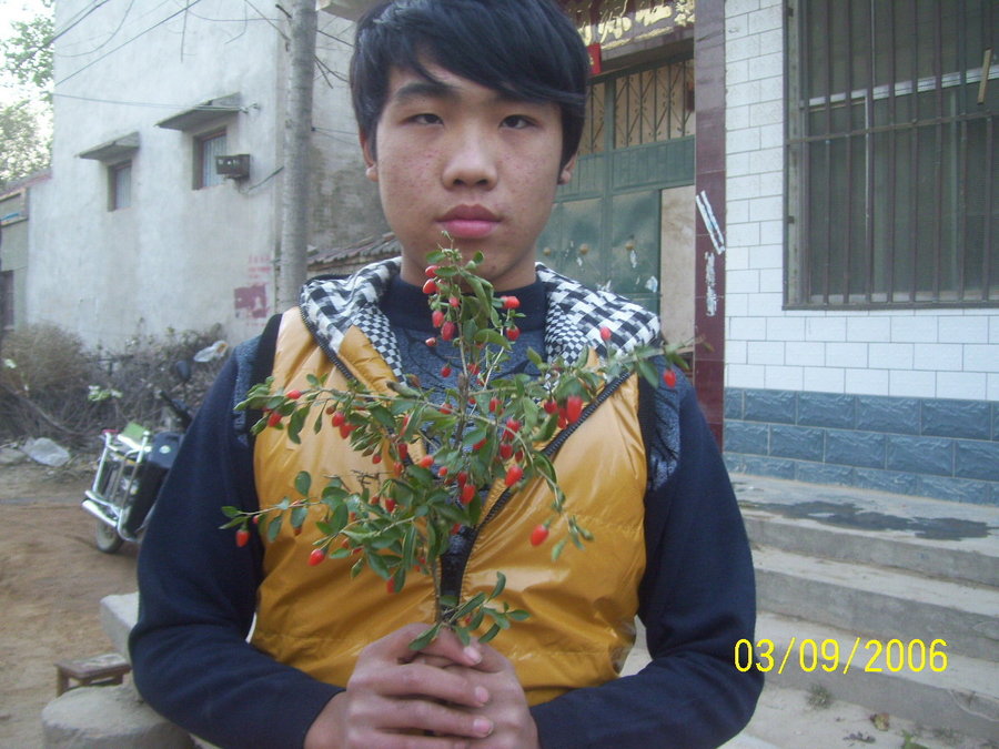 照片2012 111.jpg