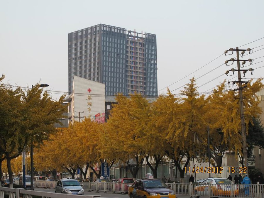 调整大小 照片 005.jpg