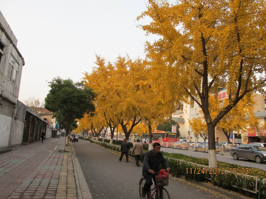 调整大小 照片 007.jpg